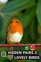 Hidden Pairs 3: Lovely Birds