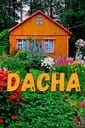 DACHA cover