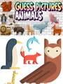 Guess Pictures: Animals Kapak Resmi
