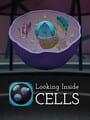 Looking Inside Cells