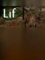 Lif