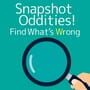 Snapshot Oddities! Find What's Wrong