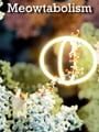 Meowtabolism: Examining Feline Behavior Within Unicellular Algae