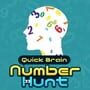 Quick Brain: Number Hunt