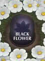 Black Flower