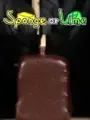 Sponge or Lime cover art