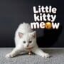 Little Kitty Meow
