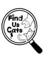 Find Us Cats