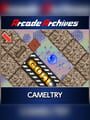 Arcade Archives: Cameltry