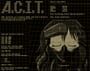 A.C.I.T. Soup