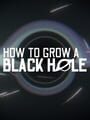 How to Grow a Black Hole