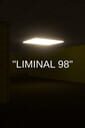 Liminal 98
