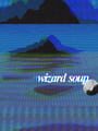 Wizard Soup
