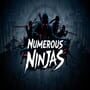 Numerous Ninjas