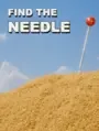 Find The Needle cover art