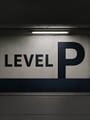 Level P