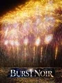 Burst Noir: Fireworks Simulator cover art