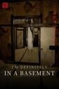 I'm Definitely in a Basement