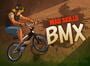 Mad Skills BMX