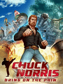 Chuck Norris: Bring on the Pain cover