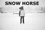Snow Horse