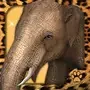Virtual Pet Elephant cover art