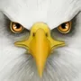 Ultimate Bird Simulator cover art