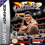 Fire Pro Wrestling 2 cover