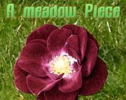 A meadow Piece