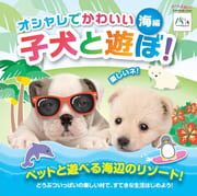 Oshare de Kawaii Koinu to Asobo!: Machi-hen cover