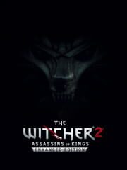 The Witcher 2: Assassins of Kings - Dark Edition cover