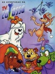 As Aventuras da TV Colosso cover