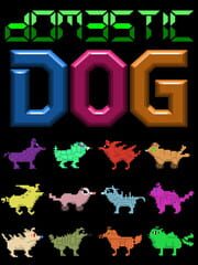 Domestic Dog