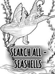 Search All: Seashells
