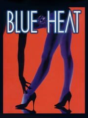 Blue Heat: The Case of the Cover Girl Murders cover