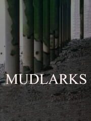 Mudlarks cover