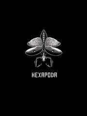 Hexapoda cover