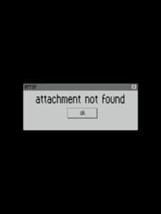 Attachment Not Found cover