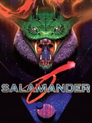 Salamander