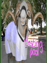 Testing Pool poster