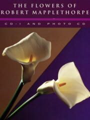 The Flowers of Robert Mapplethorpe