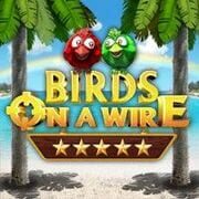 Birds On A Wire cover