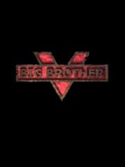 Big Brother cover