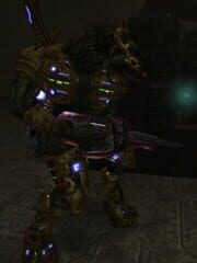 Heretic Hunt