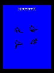 Karate Warrior