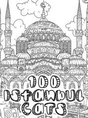 100 Istanbul Cats