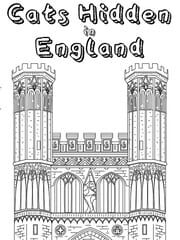 Cats Hidden in England cover
