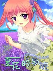 夏花的轨迹——A summer promise to forever