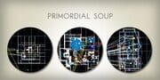Primordial Soup