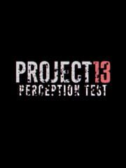 Project 13 Perception Test cover
